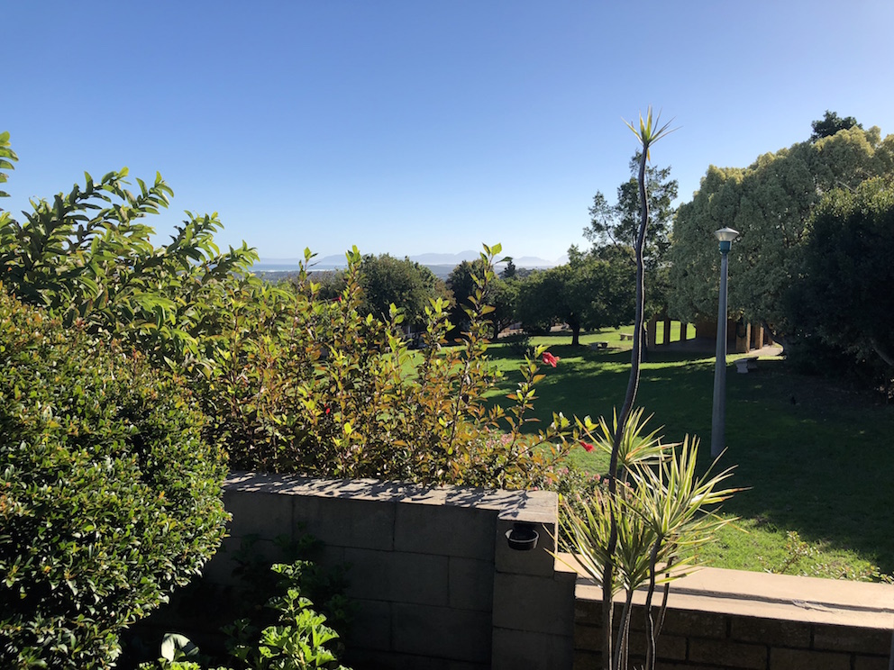 View of Communal Garden from Patio